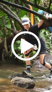 BIB:  <button type="button" onclick="openModal(27825470)" class="btn btn-primary btn-sm float-right" data-toggle="modal" data-target=".modal-high-quality">
                <i class="fa fa-download"></i> Download
                </button>